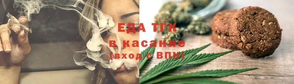 индика Аркадак