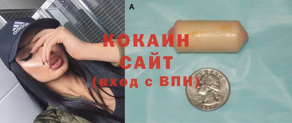 индика Аркадак