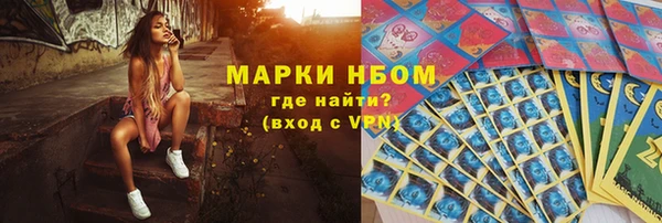 индика Аркадак