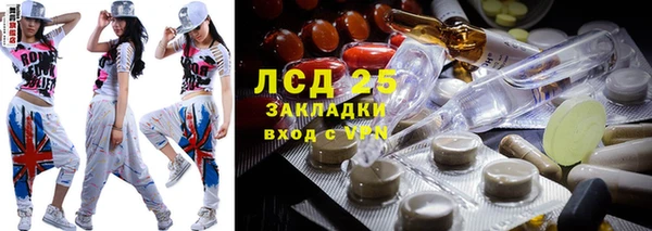 индика Аркадак