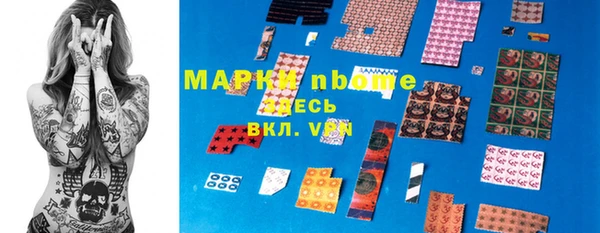 индика Аркадак