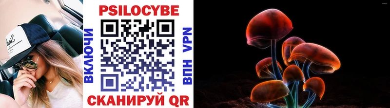Купить  Балахна  Псилоцибиновые грибы мухоморы 